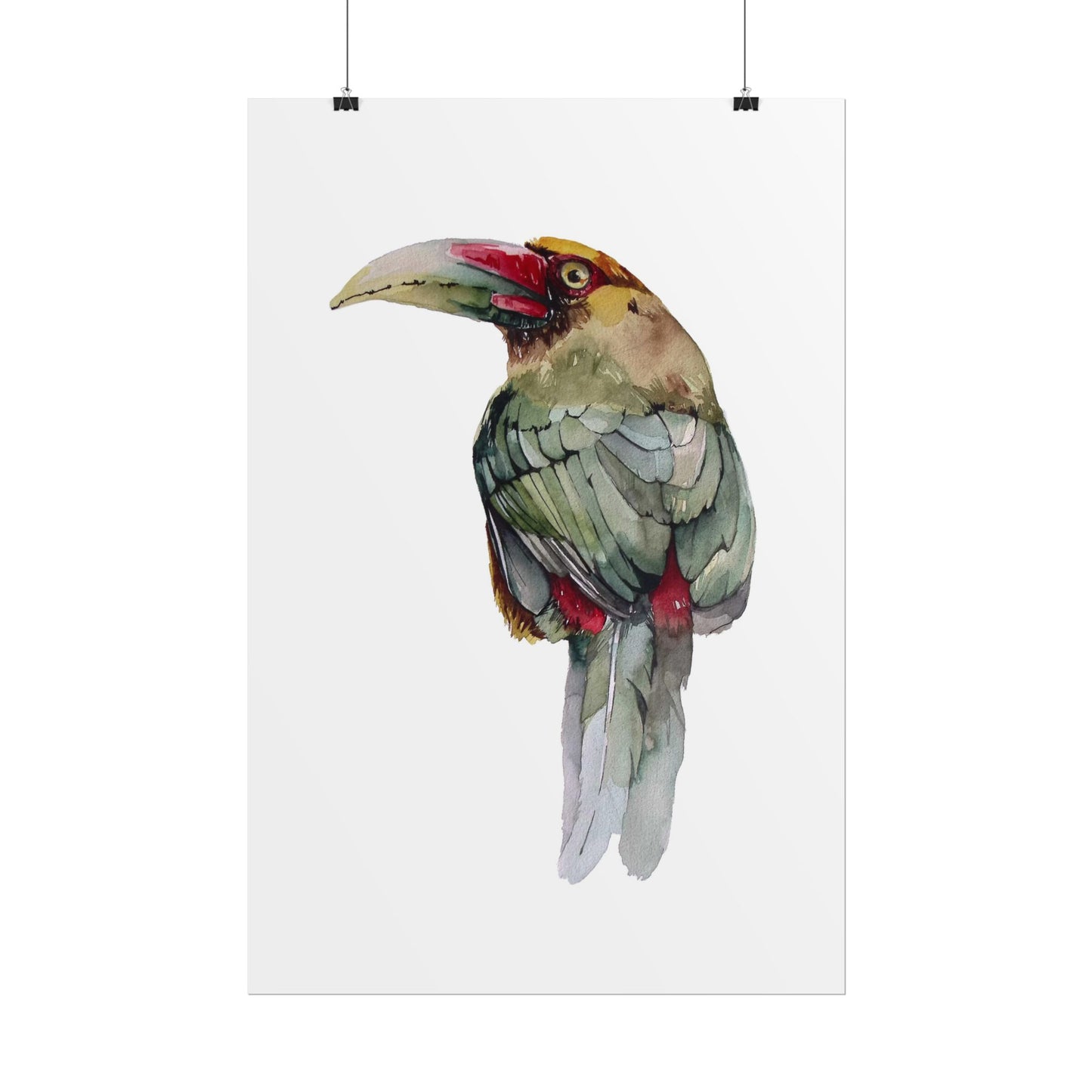 Rolled Posters Saffron Toucan