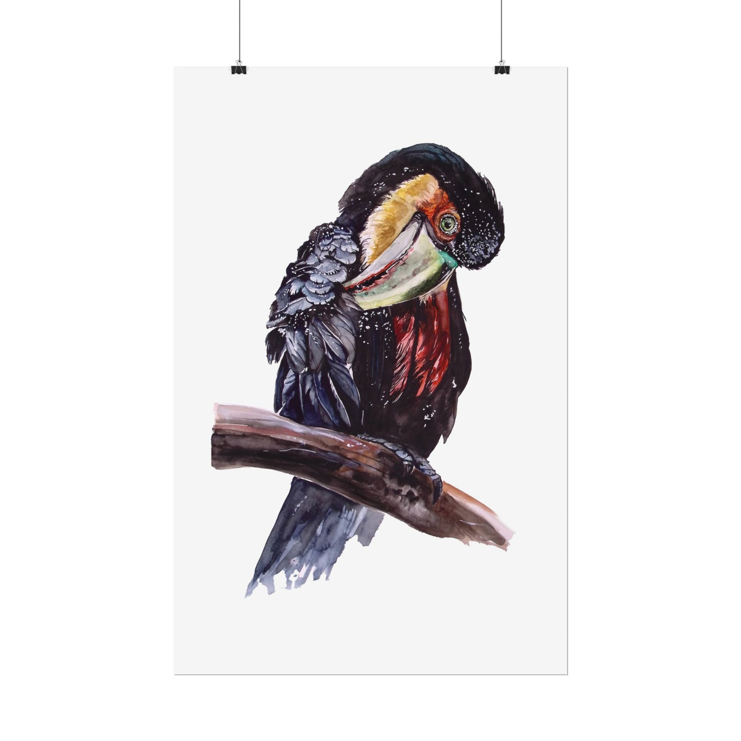 Rolled Posters Red-breasted toucan