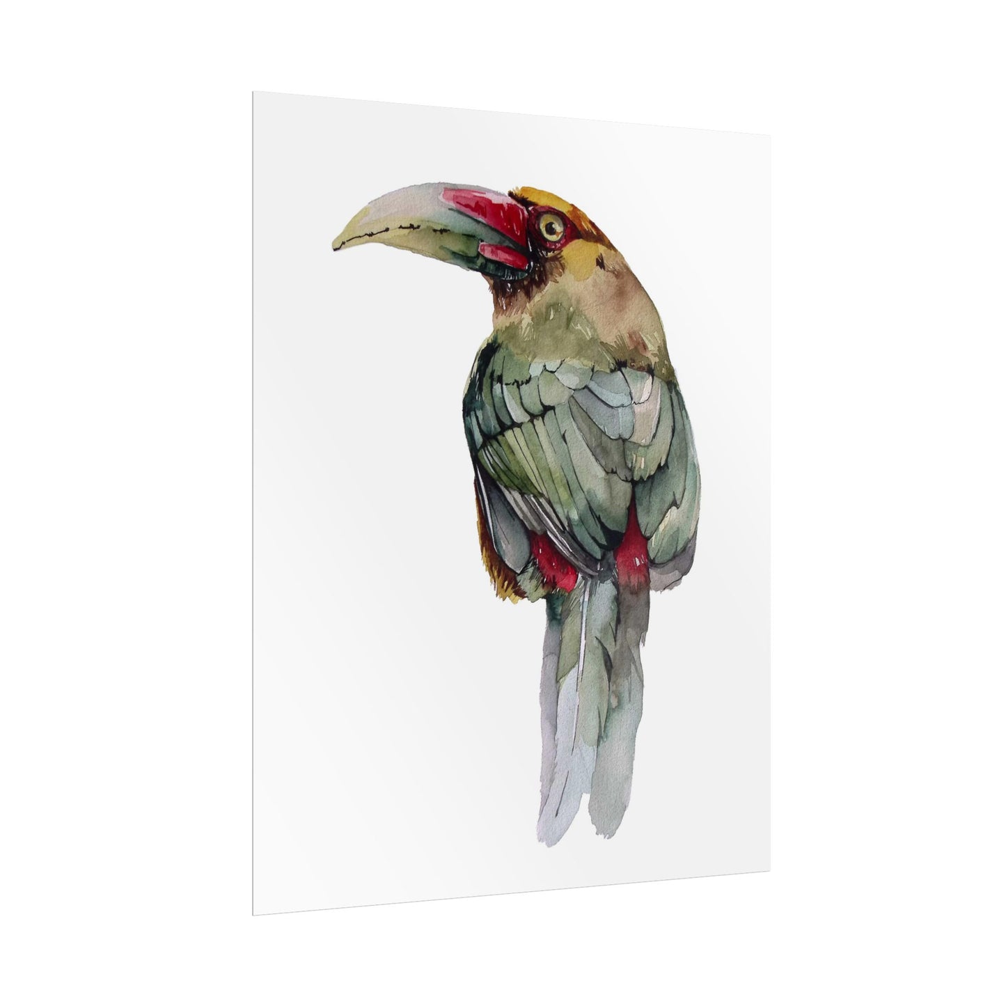 Rolled Posters Saffron Toucan