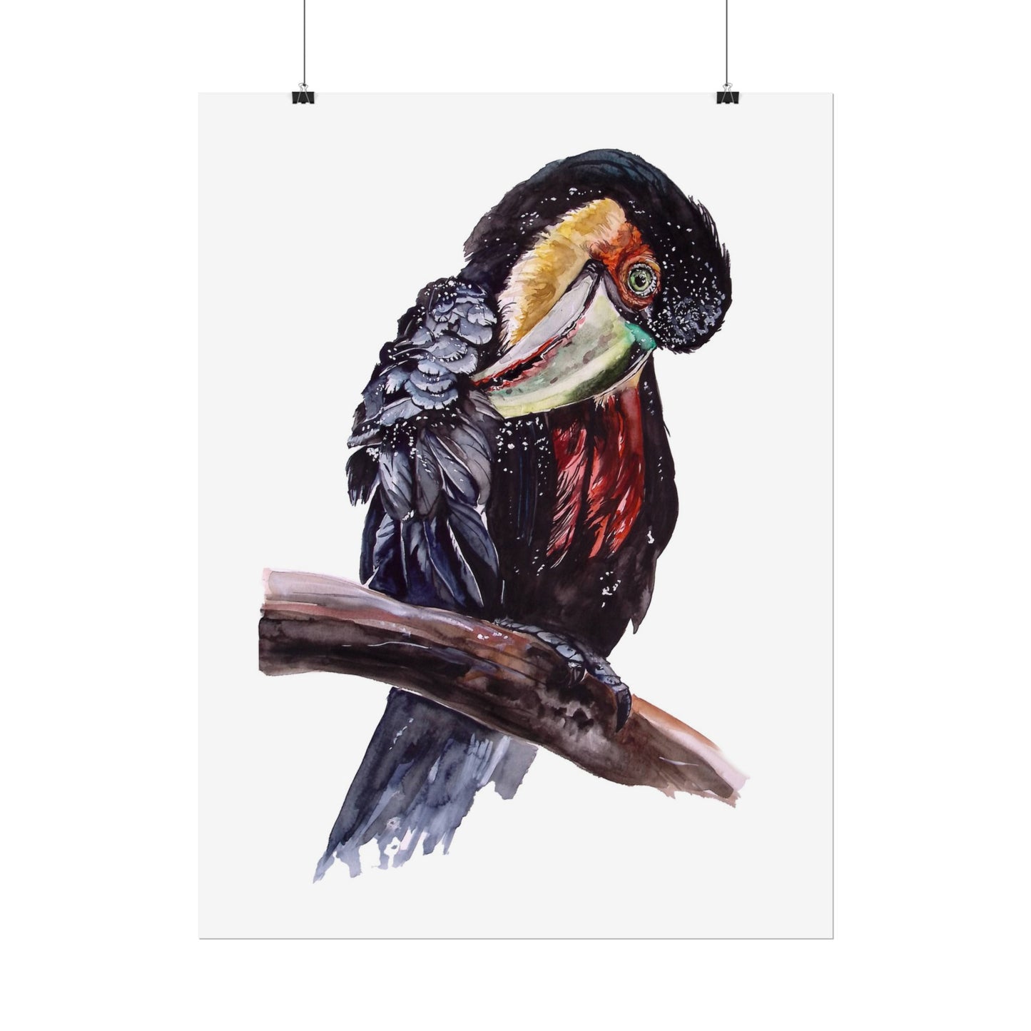 Rolled Posters Red-breasted toucan