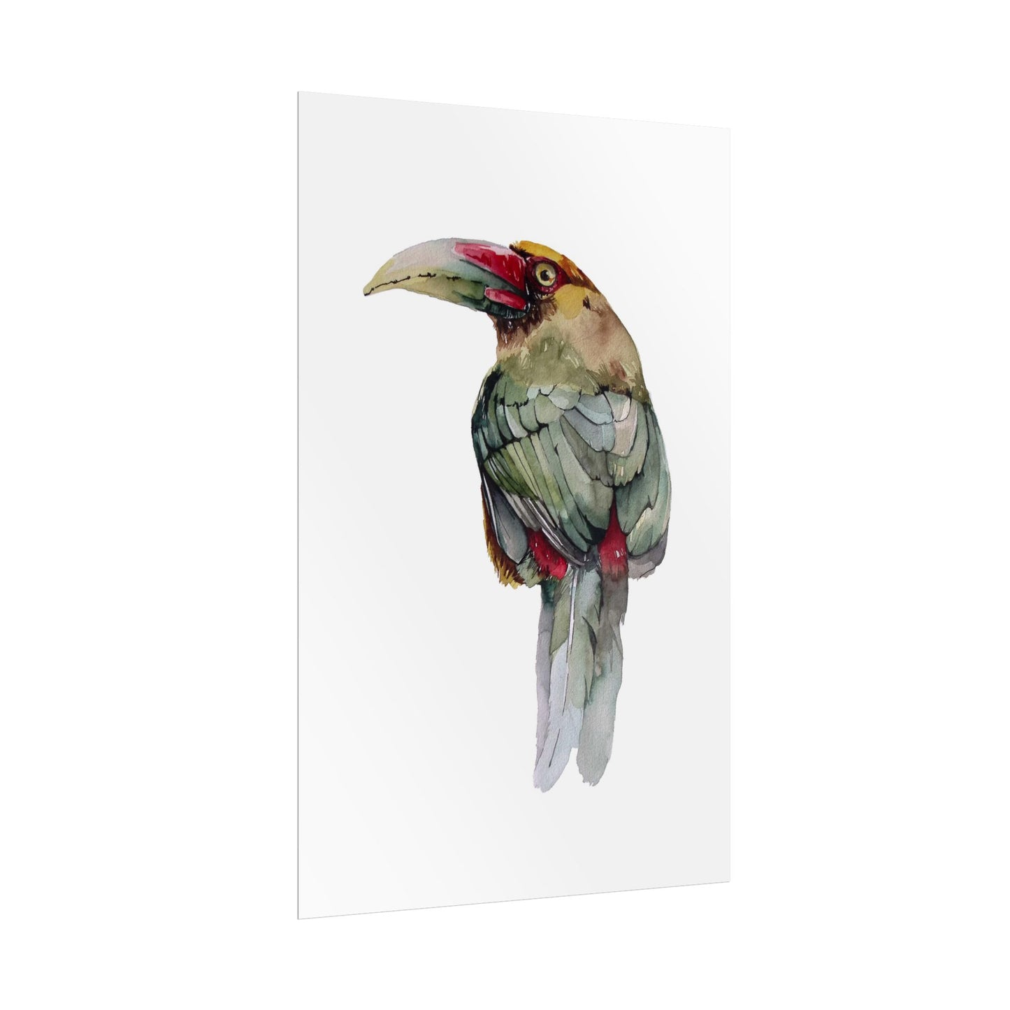 Rolled Posters Saffron Toucan