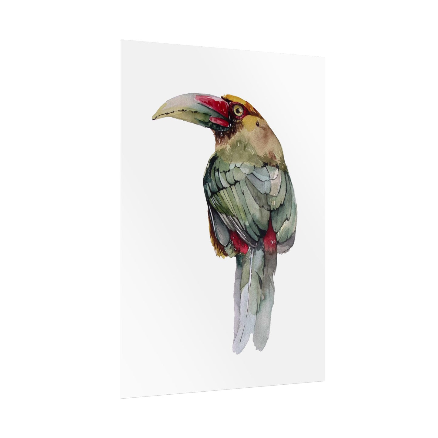 Rolled Posters Saffron Toucan