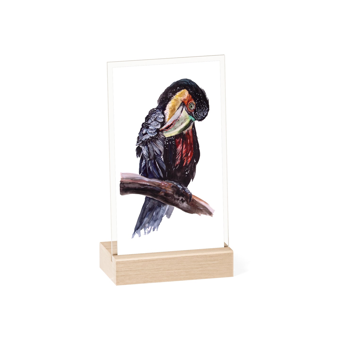 Acrylic Sign with Wooden Stand Red-breasted toucan