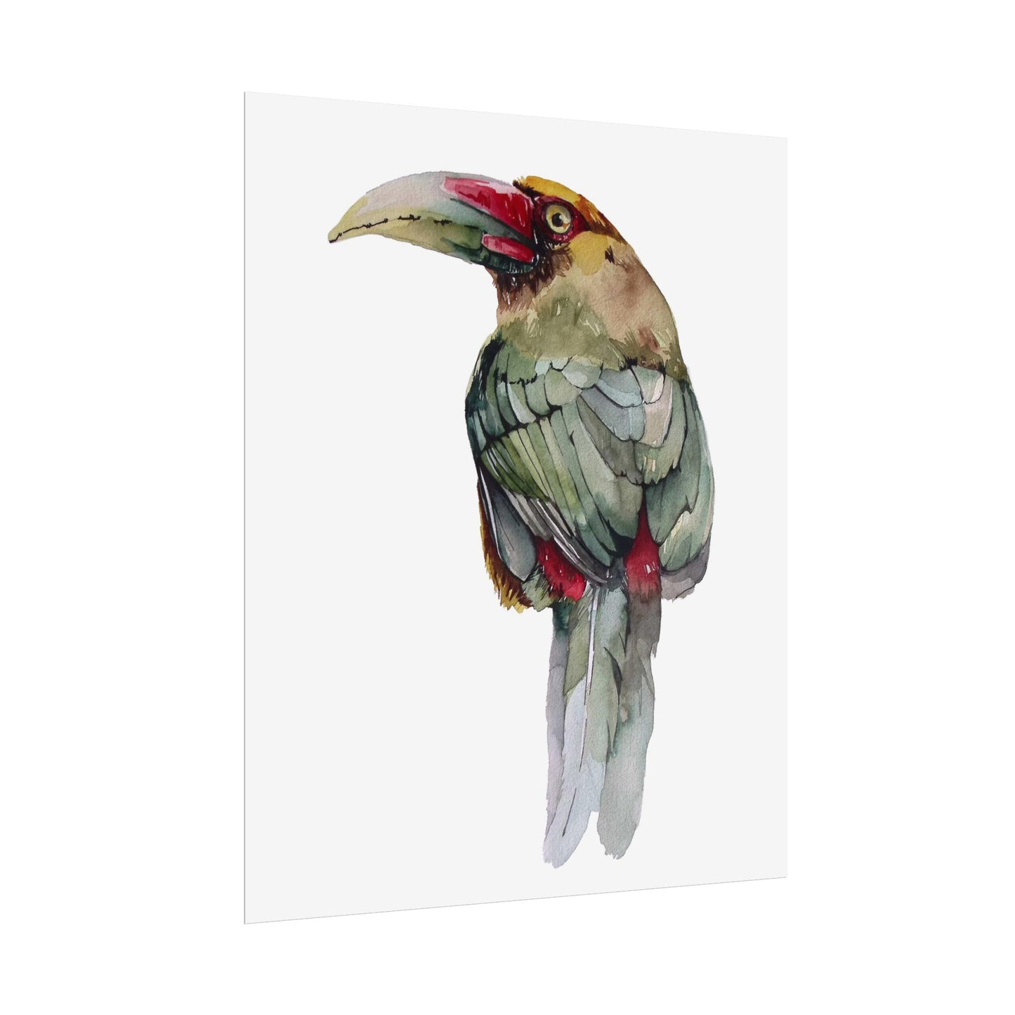 Rolled Posters Saffron Toucan