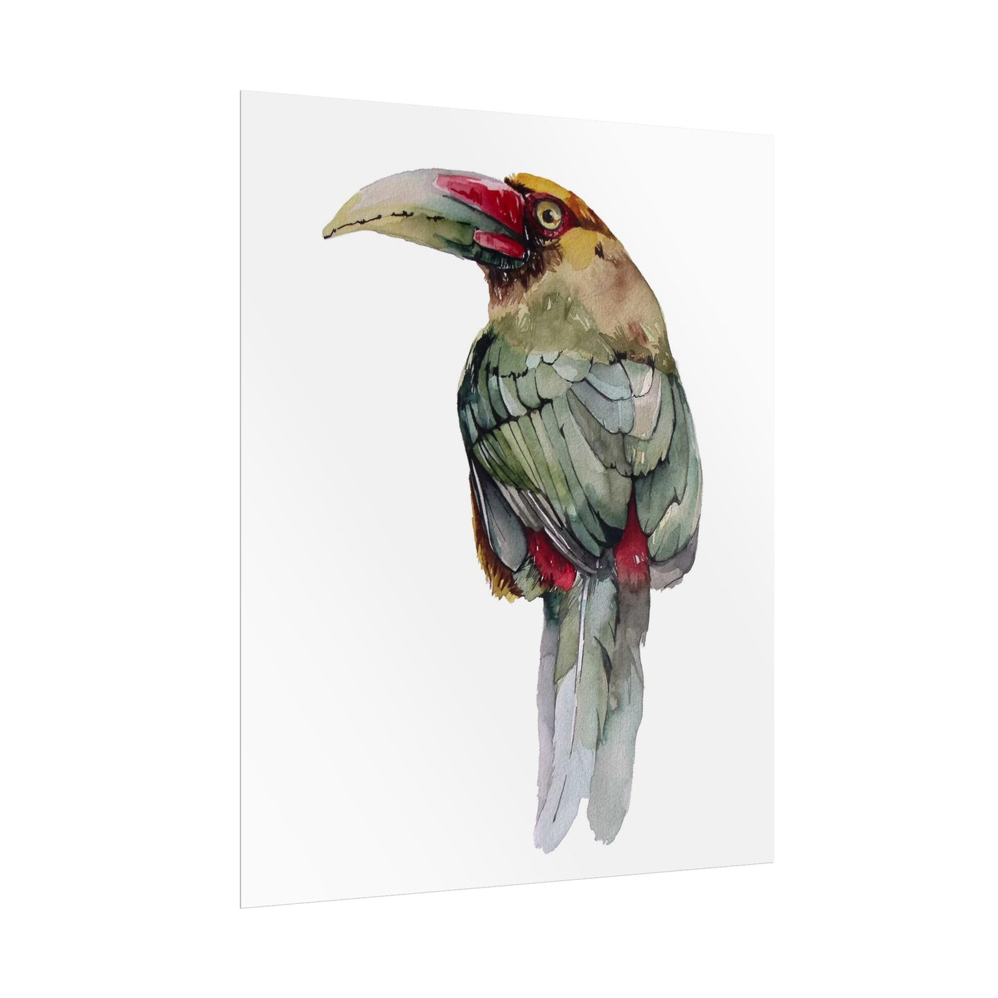 Rolled Posters Saffron Toucan