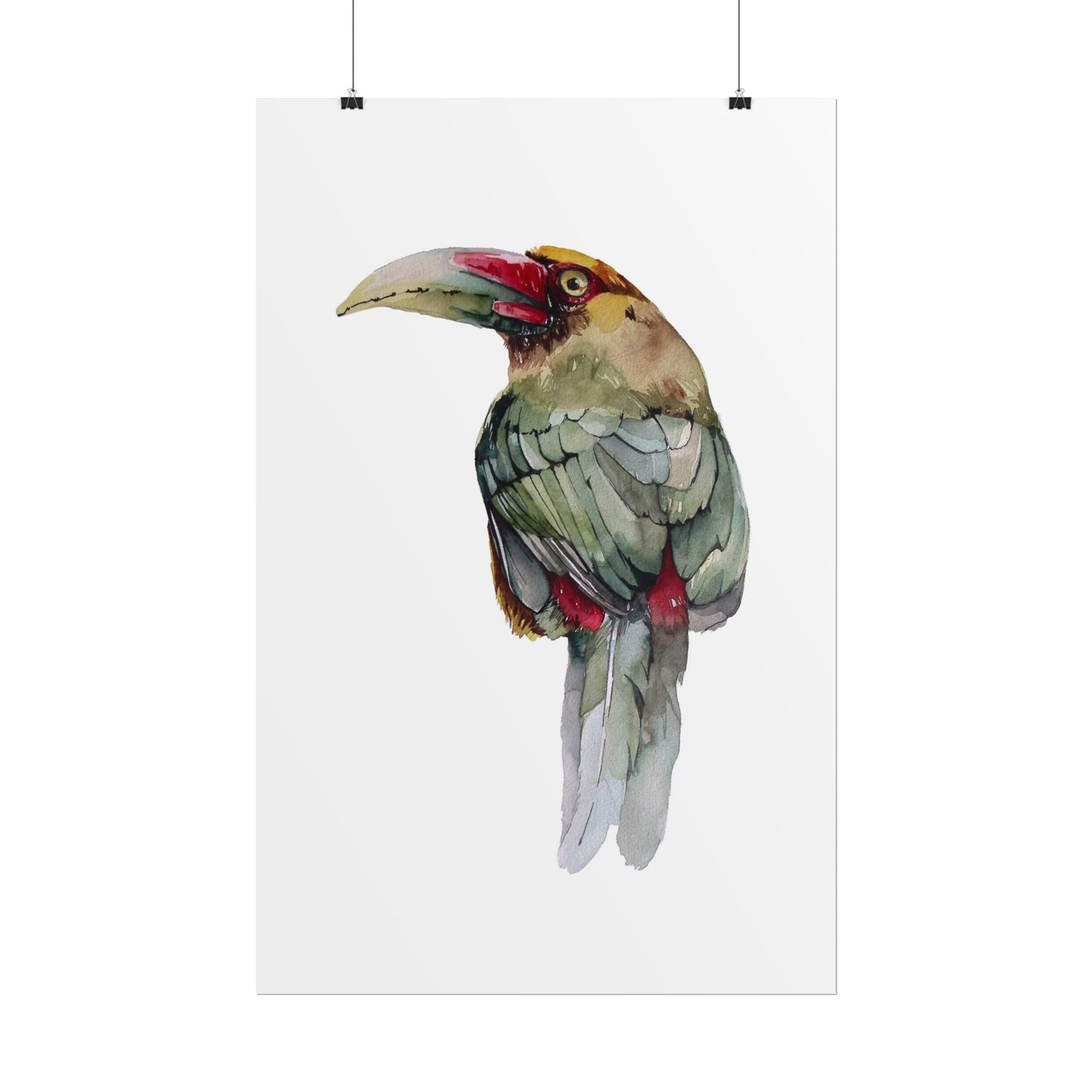 Rolled Posters Saffron Toucan