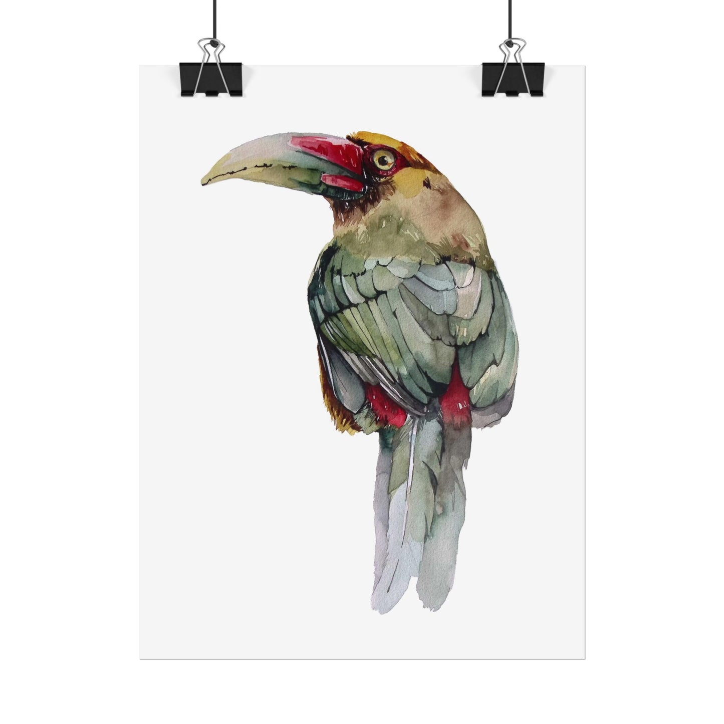 Rolled Posters Saffron Toucan