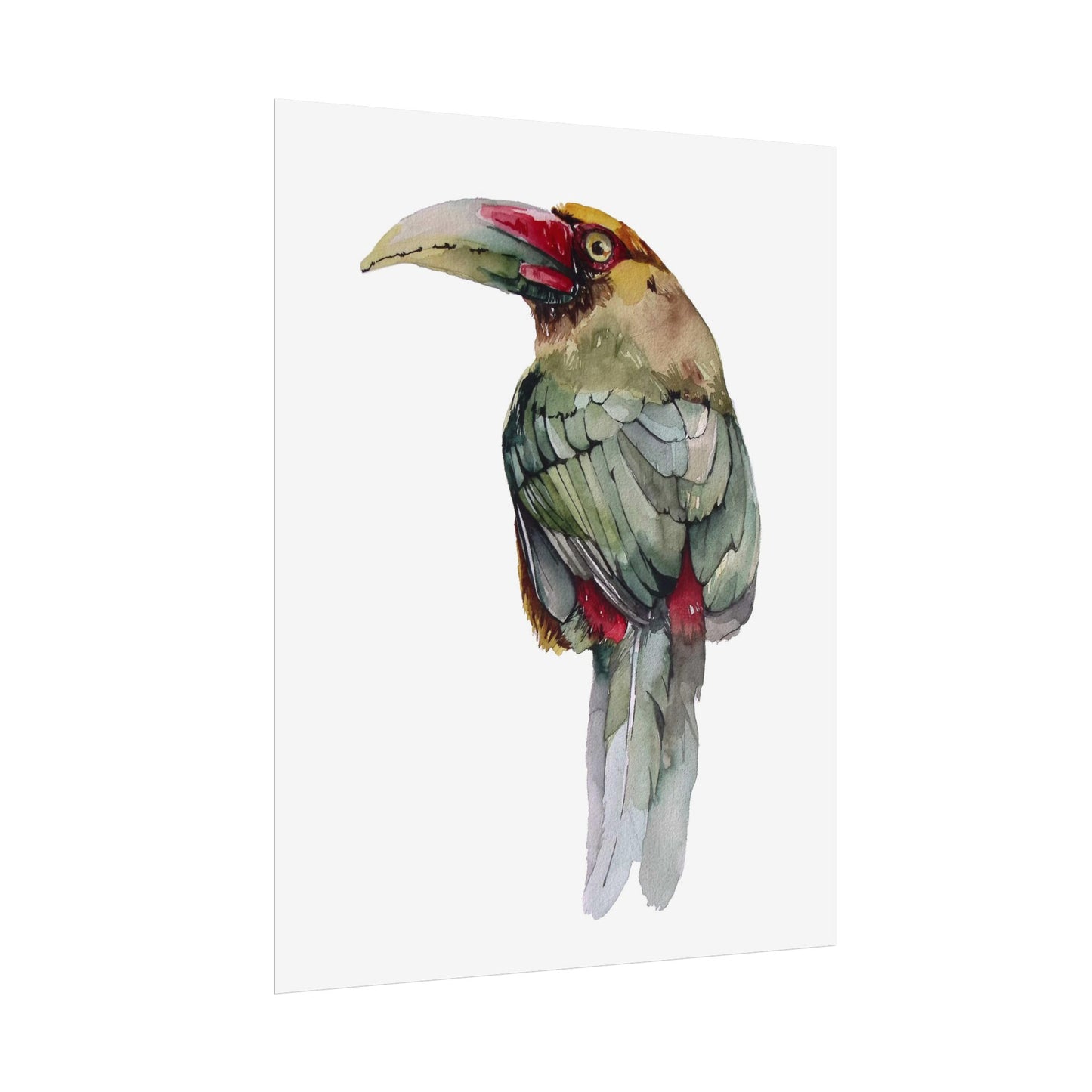 Rolled Posters Saffron Toucan