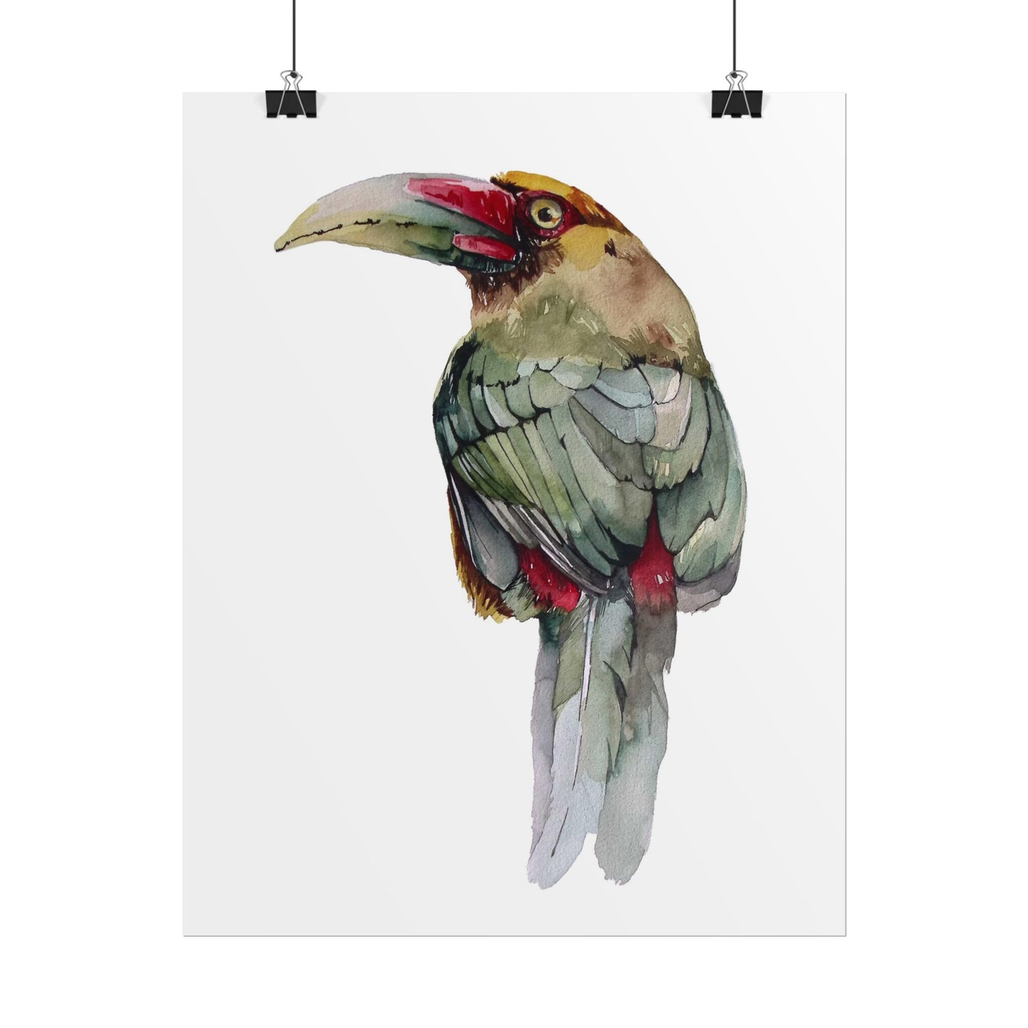 Rolled Posters Saffron Toucan