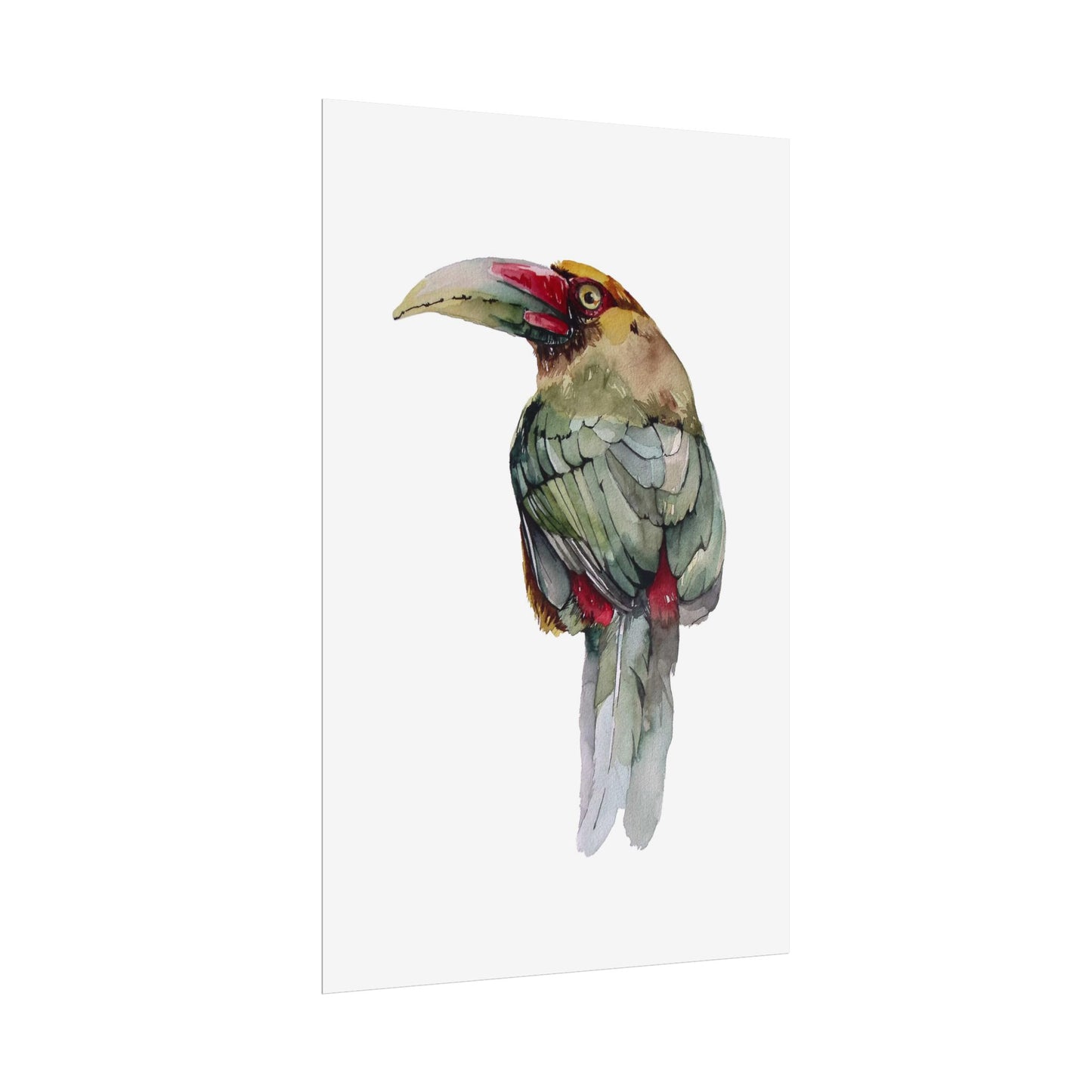 Rolled Posters Saffron Toucan