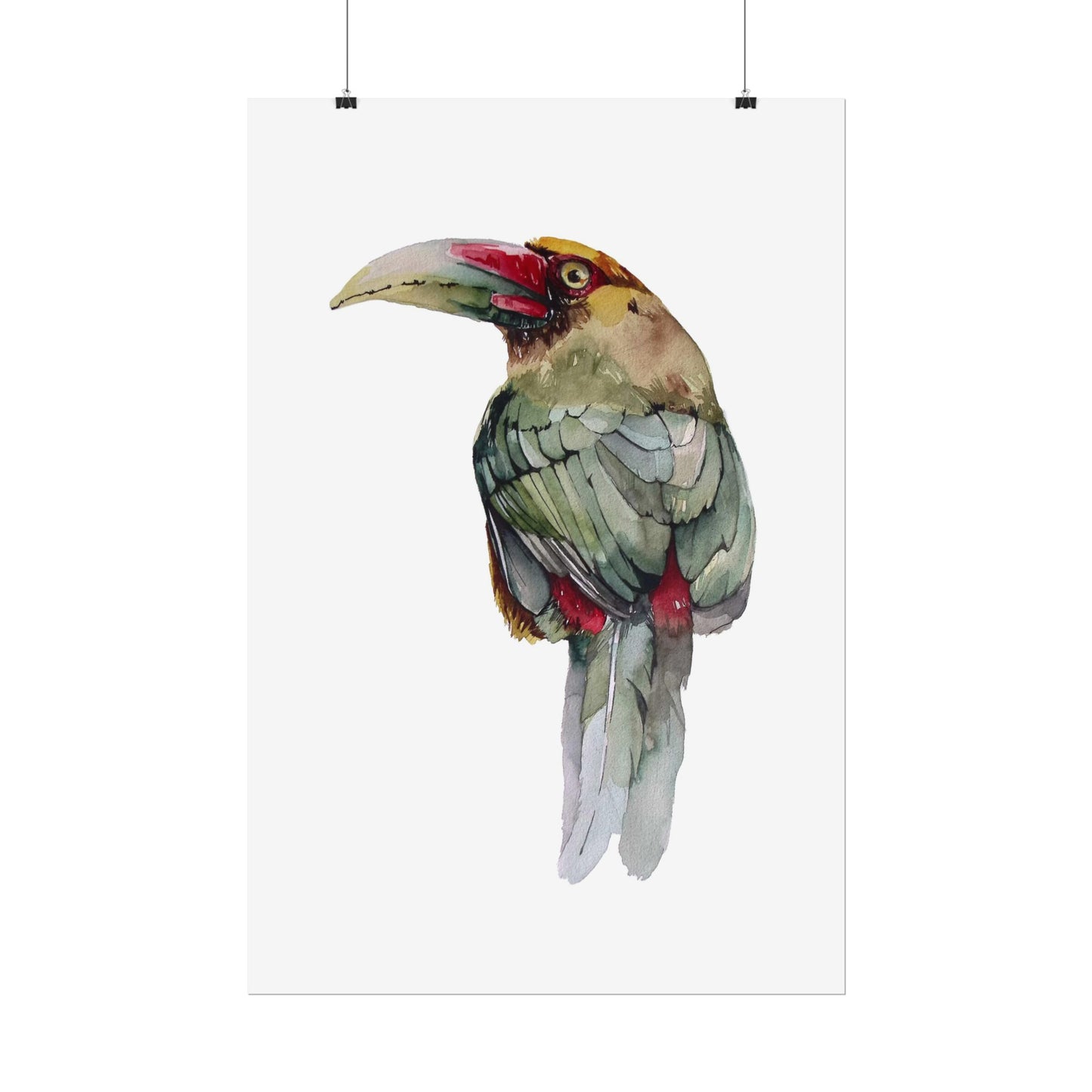 Rolled Posters Saffron Toucan