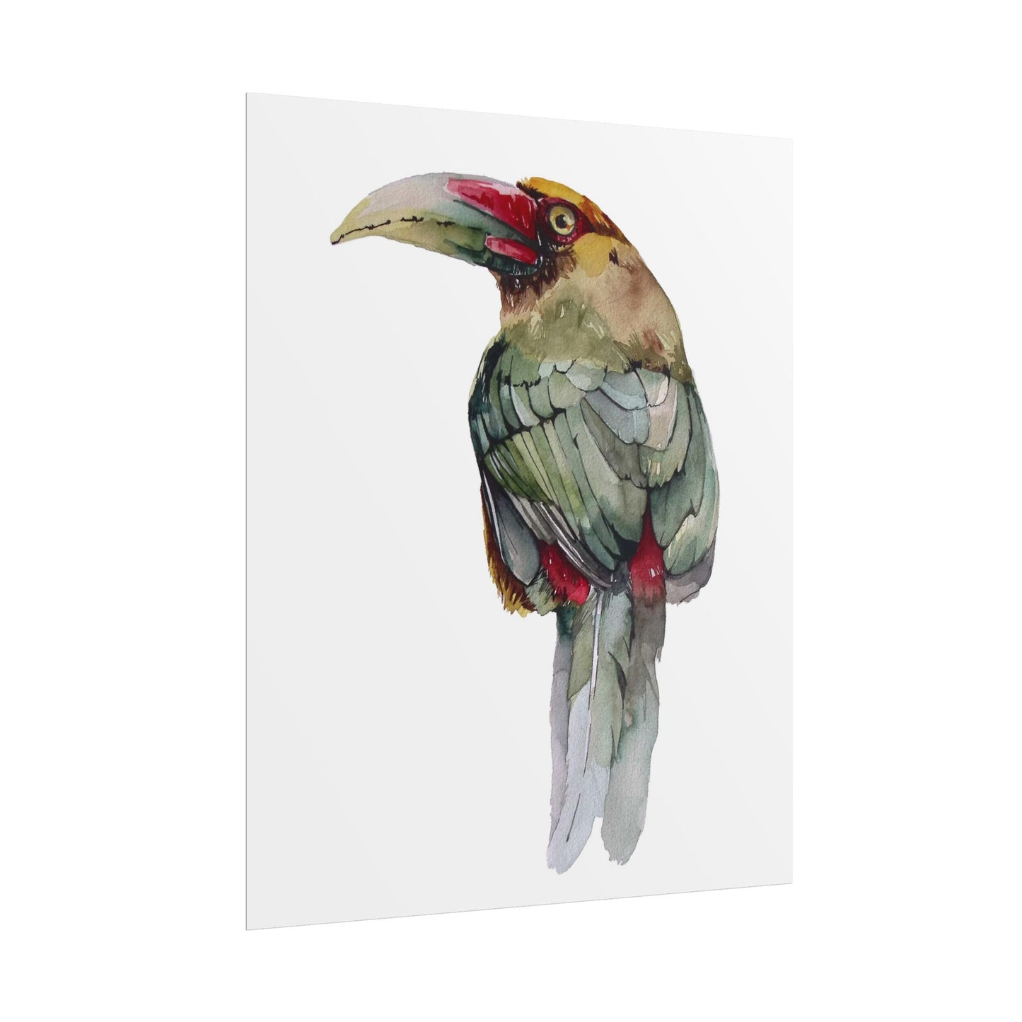 Rolled Posters Saffron Toucan