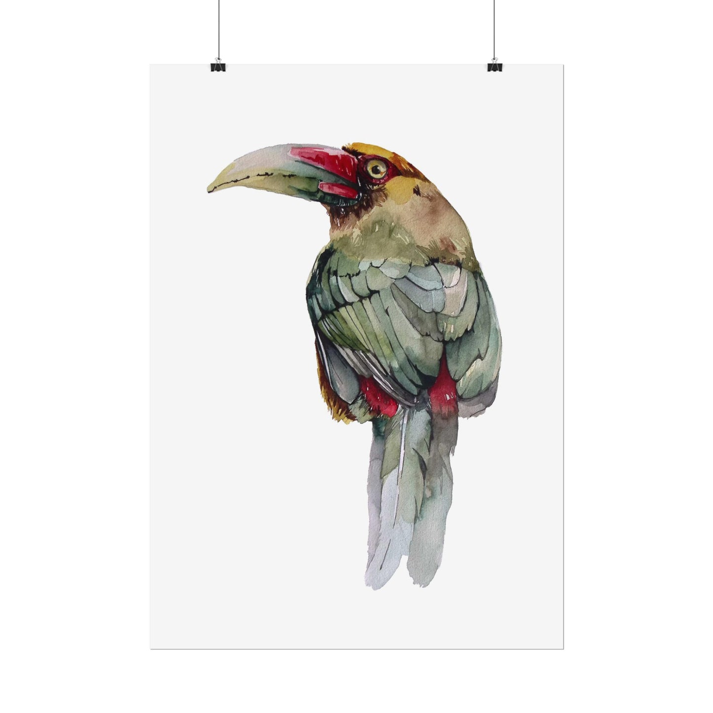 Rolled Posters Saffron Toucan