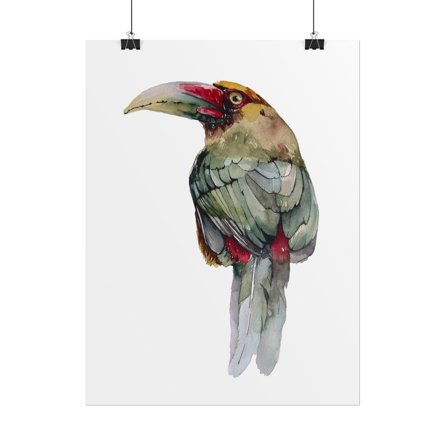 Rolled Posters Saffron Toucan