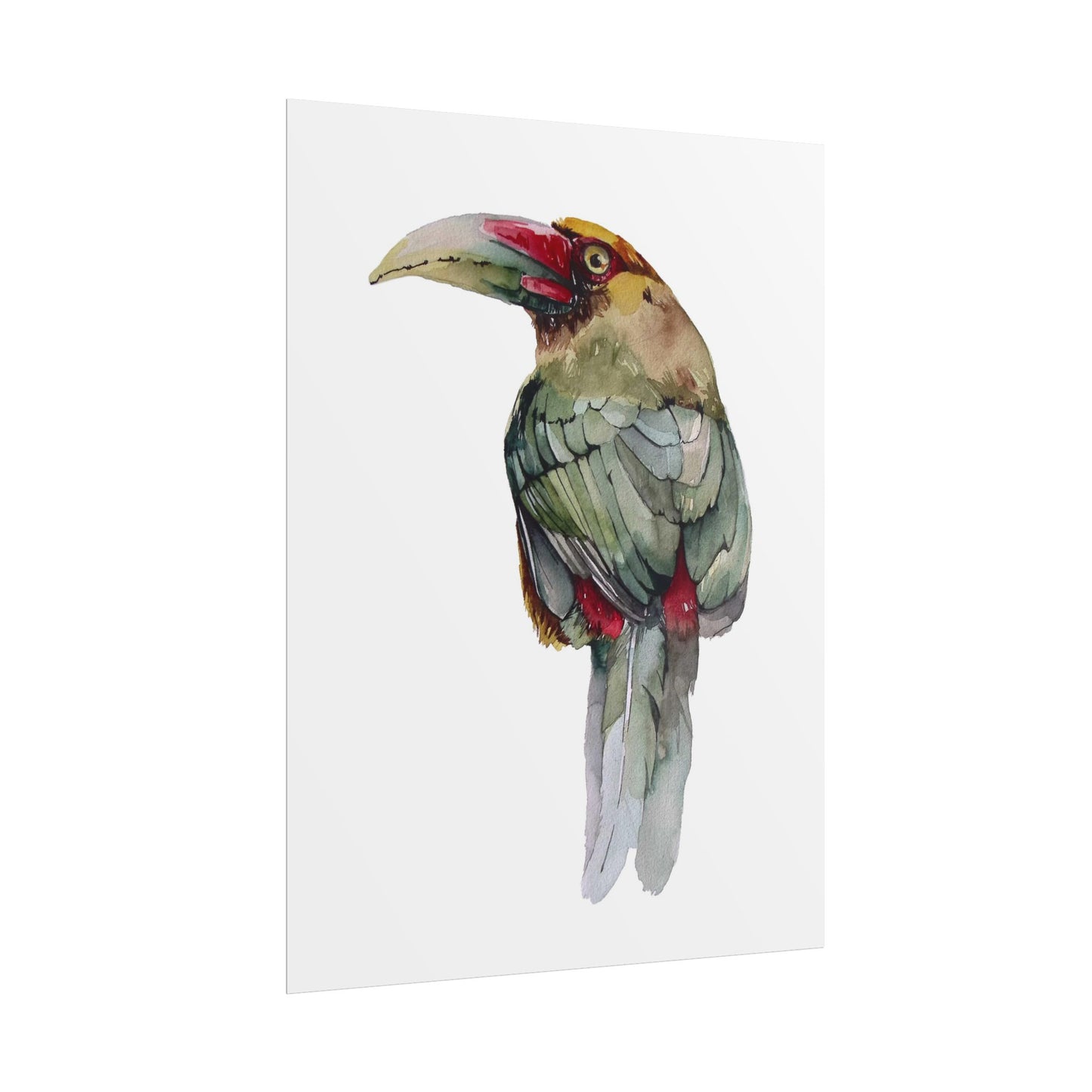 Rolled Posters Saffron Toucan