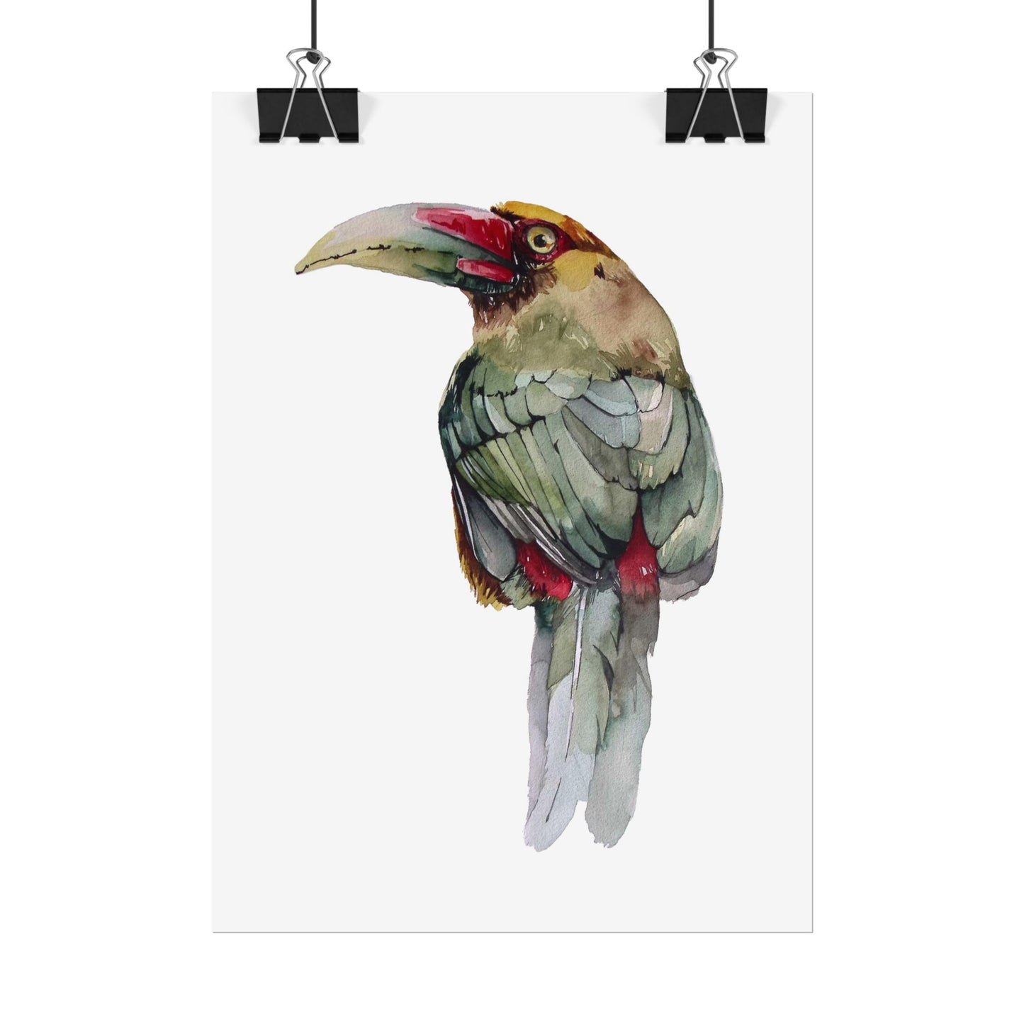 Rolled Posters Saffron Toucan