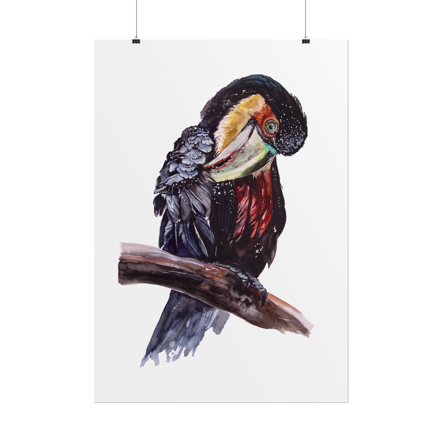 Rolled Posters Red-breasted toucan