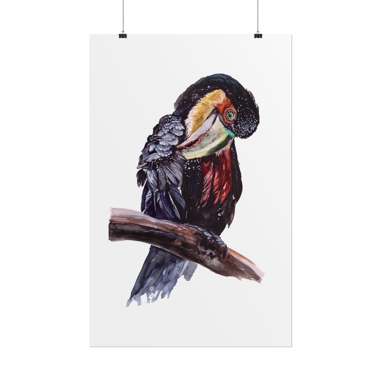 Rolled Posters Red-breasted toucan