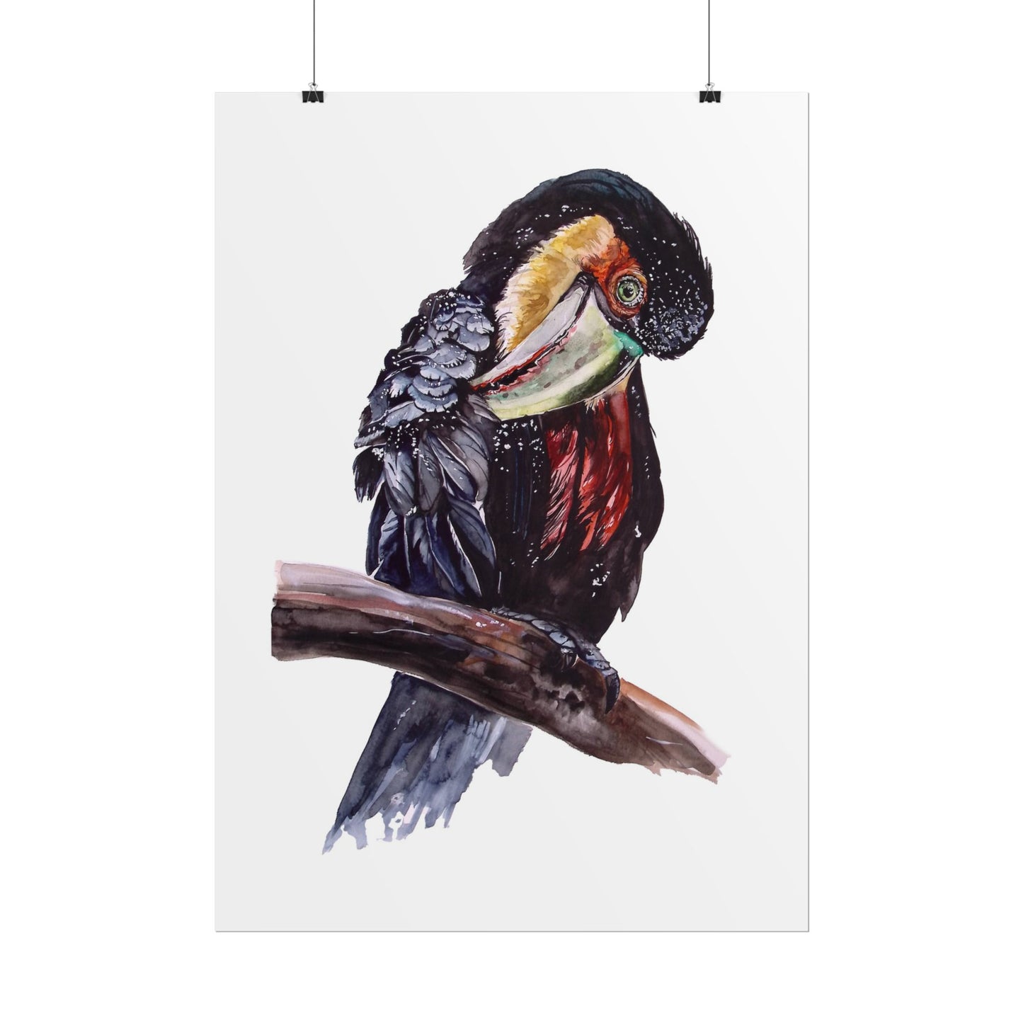 Rolled Posters Red-breasted toucan