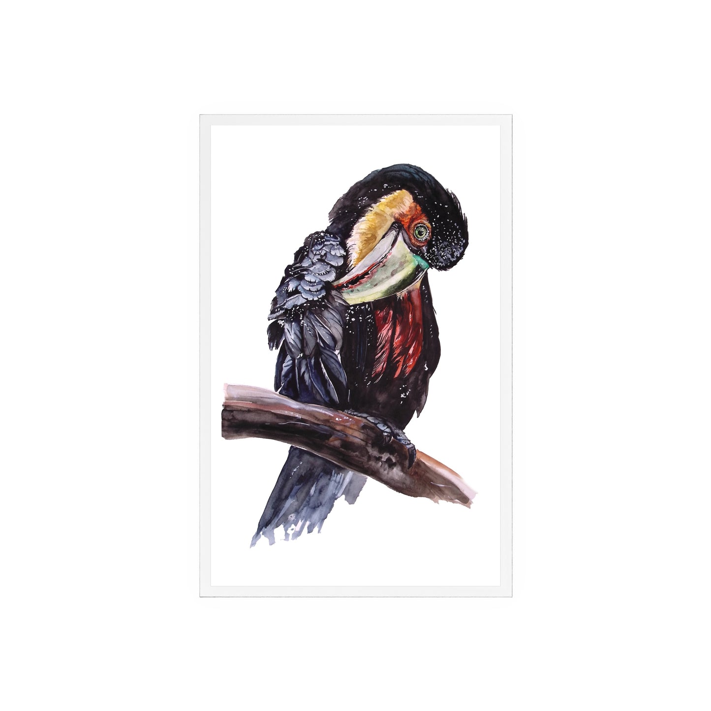 Acrylic Sign with Wooden Stand Red-breasted toucan