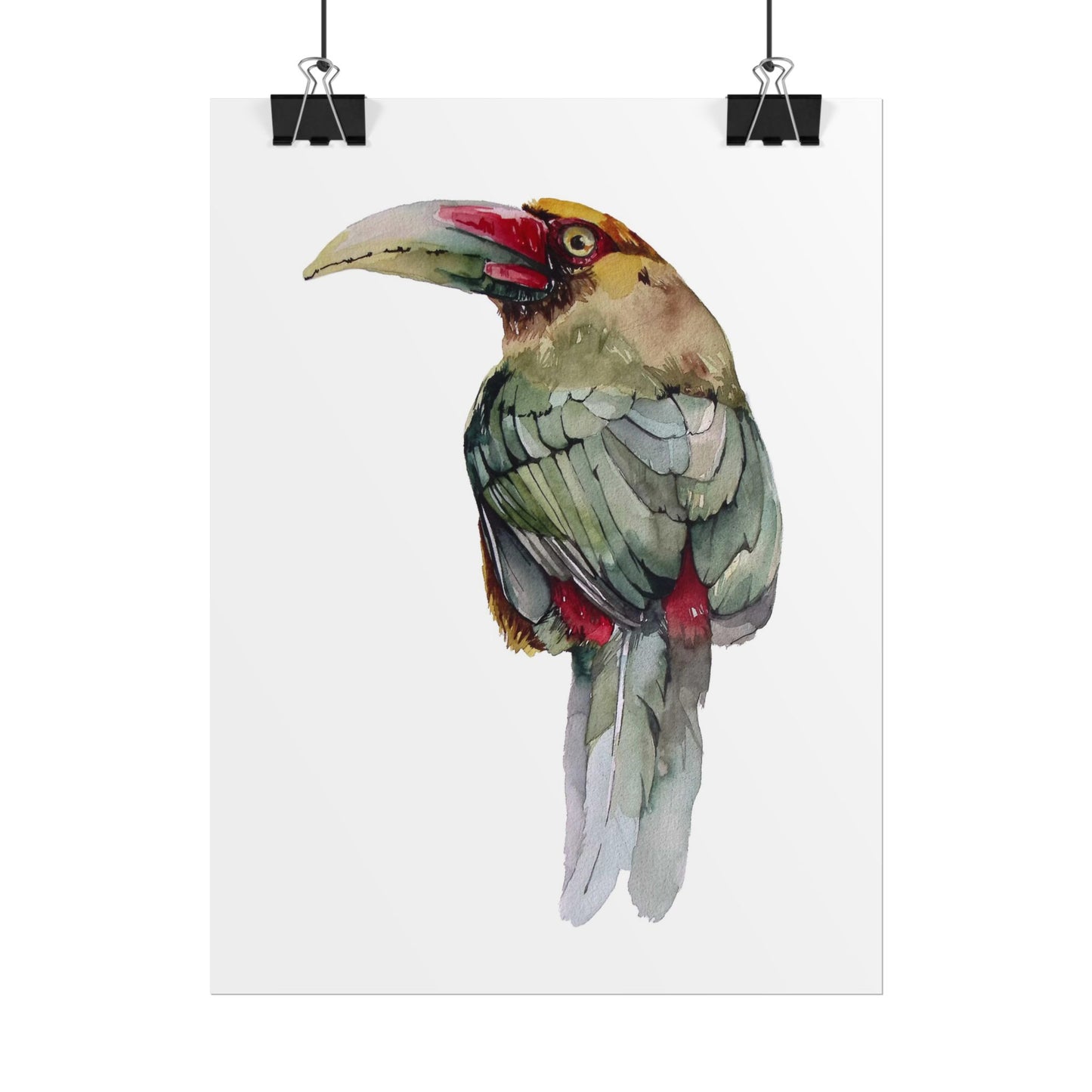 Rolled Posters Saffron Toucan