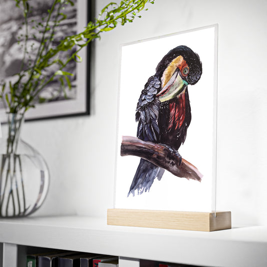 Acrylic Sign with Wooden Stand Red-breasted toucan