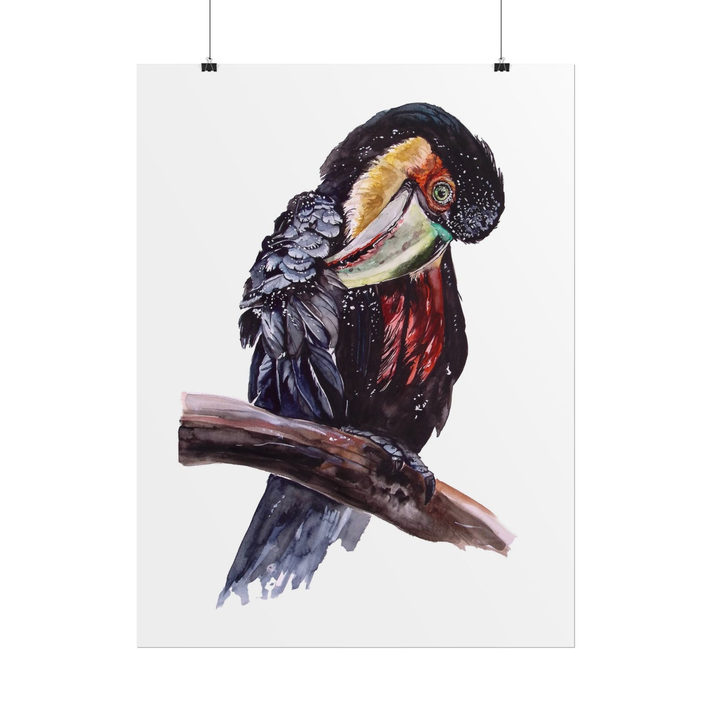 Rolled Posters Red-breasted toucan