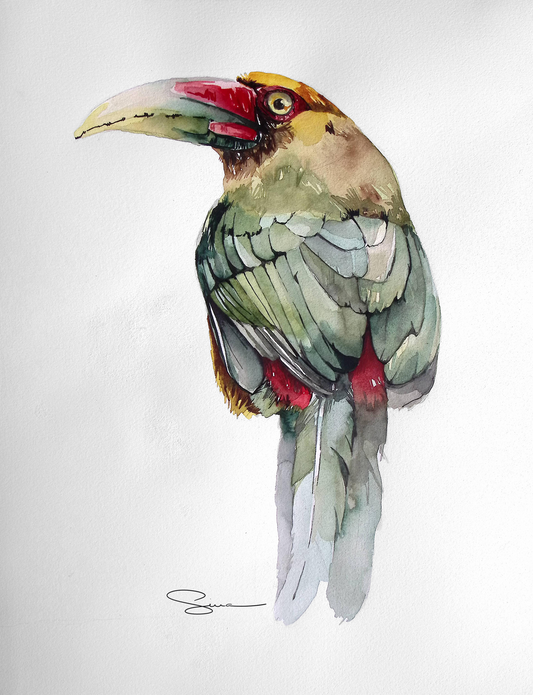 ORIGINAL ART Aracari banana/ saffron toucan